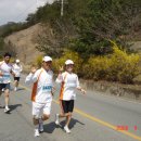 합천약국 이미지