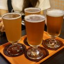 탐라호스텔 이미지