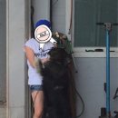 한진카센타 네이버블로그