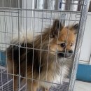 도서관(구립) 삼산도서관(3) 이미지
