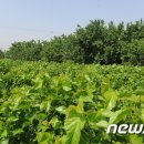 (주)뜨락원