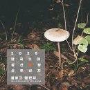 주왕산주산지말이민박 | [블챌]클라쎄W 필카에 담은 한국 3대 암산 청송 주산지 주왕산