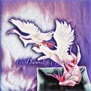 호산대학교 이미지