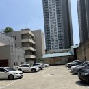 댕스미스 | 대구 북구 애견 유치원 <댕스미스 유치원 > 체험 후기