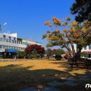 곡성-203 이미지