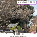 개화전기충전소 | 창원의 집 매화 산수유 목련 | 개화 상황·주차·입장료 총정리