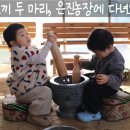 은진농장 이미지