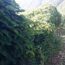 환오농장 이미지