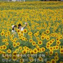 떼아모 이미지
