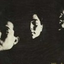 샴푸의요정 이미지