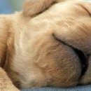 비몽사몽 이미지