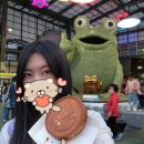 두꺼비시장 | 2023 하동시장 섬진강 두꺼비 야시장 후기 내돈내산