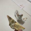 투게더터그