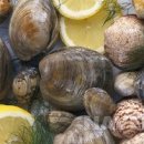 튼튼요양병원 이미지