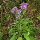 임종헌한의원 이미지