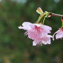 기억의 순간 이미지