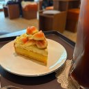 816 | 천안 신부동 분위기 좋은 카페 타르트 맛집 room 816 내돈내산 솔직후기