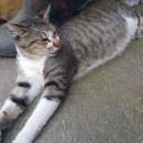 월향농장 이미지