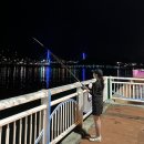 고흥-10호 | [워킹루어] 고흥/여수 워킹 문어 낚시 후기 1편 (장비선택)