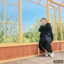 [영종도 인천공항 하늘정원] 유채꽃 산책, 인생샷 가득한 다녀온 후기