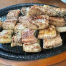 신안리자연산장어집