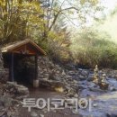 별나라korea