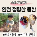 [육아후기] 인천 청량 산 아이랑 등산｜이디야 1인 빙수 팥인절미 더블베리