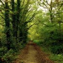 둔산의료기 이미지