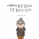 박대박왕소금구이포항 네이버블로그