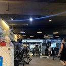 FIT U.S.A(피투사) 이미지