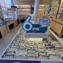 안경의 모든것 이미지