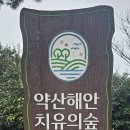 어울림의 동행ᆢ완도 약산치유의숲 이미지