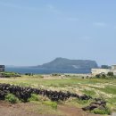 고성리-15 | 제주도 동쪽 여행 섭지코지 후기 &amp; 방문 꿀팁 및 주차 정보