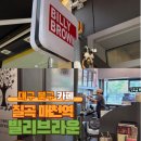 빌리브라운태전하늘점 이미지