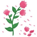 소망꽃화원 이미지