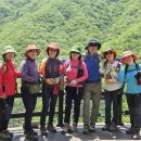 운일암반일암숲길 이미지