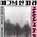 매그넘