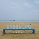 아트.비 | 🌊 강릉 하슬라아트월드 후기 | 비 오는 날 더 분위기 좋았던 강릉 실내 가볼만한곳, 경포대·포토존...