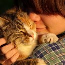 개와 집사의 시간 이미지