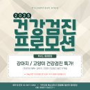 동대문 루시드 동물메디컬센터 | 11살 강아지 건강검진 후기│동대문 루시드 동물메디컬센터