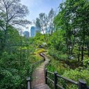 우면산3-18 이미지