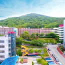 동의과학대학교 국제신문