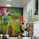 하소생활체육공원 체육공원 이미지