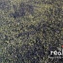 황송인조잔디구장 이미지