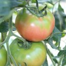 샘밭 농장 이미지