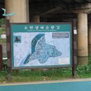 목동교 화장실 이미지