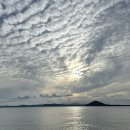 우도랜드 | 제주 우도 숙소 창문만 열면 청보리밭 물결 가성비 게하 스페이스01