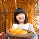 구마이곶감마을 이미지