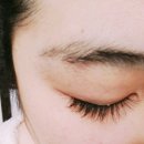 이미호아이래쉬 창원점 | [창원상남동 속눈썹잘하는곳] 창원 아이래쉬 이미호 속눈썹연장