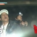 미돼지 이미지